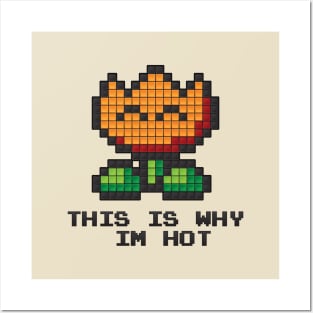 8-Bit Fire Flower Posters and Art